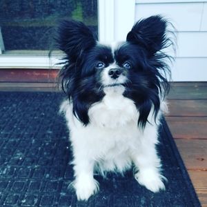 Meet your Posher, Ellen